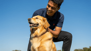 【Để Chó Cưng Thêm Gắn Bó!】Hướng Dẫn Toàn Diện Về Cách Chơi Đùa Khiến Chó Mê Mẩn – Từ Các Trò Chơi Phổ Biến Trong Nhà, Ngoài Trời Đến Hiệu Quả Huấn Luyện