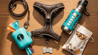 【Để Chó Cưng An Toàn & Thoải Mái Khi Đi Dạo!】Hướng Dẫn Toàn Diện Về Những Vật Dụng Cần Thiết Khi Dắt Chó Đi Dạo – Từ Đồ Dùng Cơ Bản Đến Vật Dụng Tiện Lợi