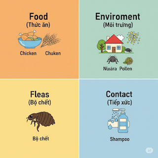 dị ứng ở chó