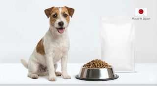 giống chó Terrier