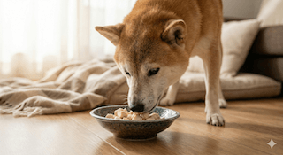 bánh thưởng cho chó