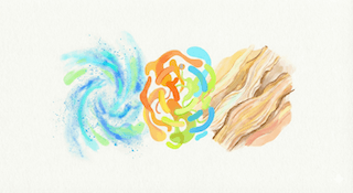 thức ăn cai sữa cho chó con