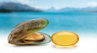 sa sút trí tuệ ở chó