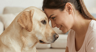 Hạnh Phúc Của Cún Cưng