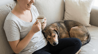 Hạnh Phúc Của Cún Cưng