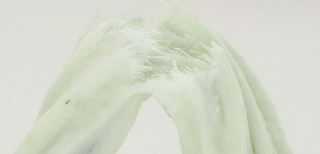 Xương gặm sạch răng cho chó