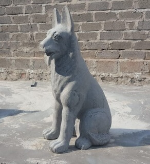 lịch sử loài chó