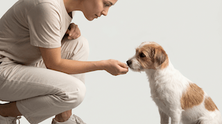 xây dựng tình bạn thực sự với loài chó