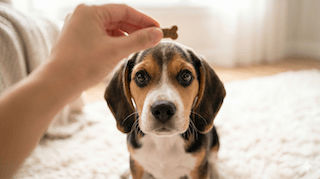 giao tiếp bằng mắt