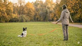 huan-luyen-cho-lenh-lai-day-hieu-qua